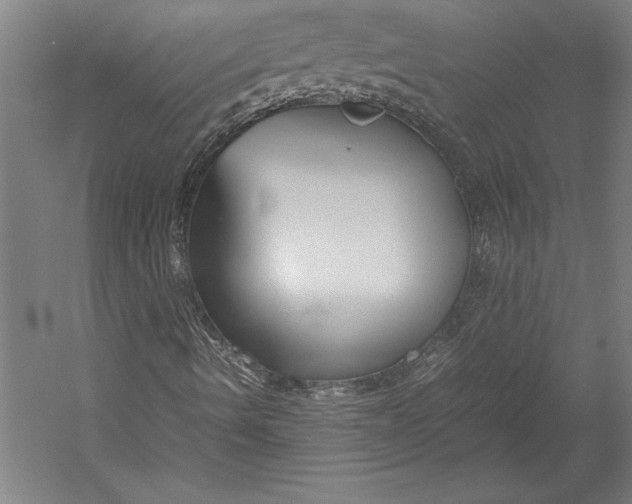 X0000052561490200507221422
