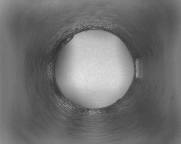 X0000052561491200507221422