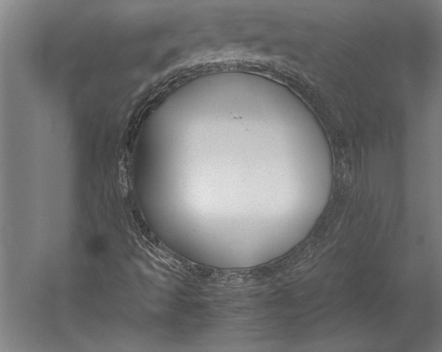 X0000052561493200507221422