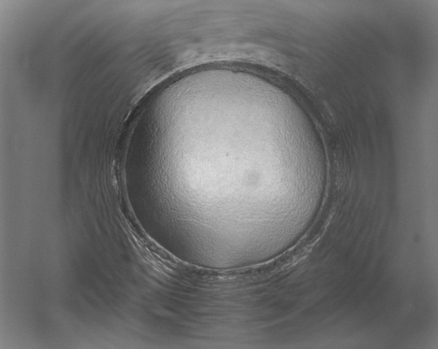 X0000052561497200507221422