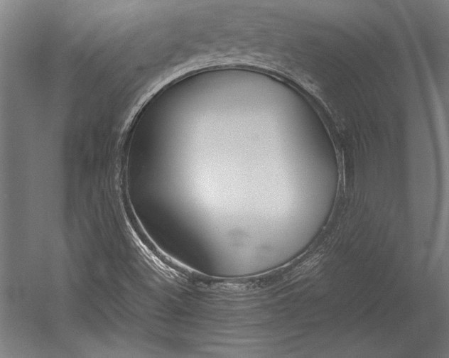 X0000052561500200507221422
