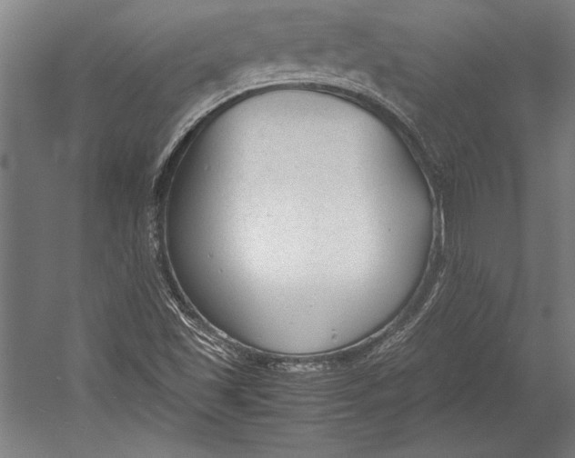X0000052561501200507221422
