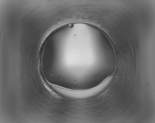 X0000052561511200507221422