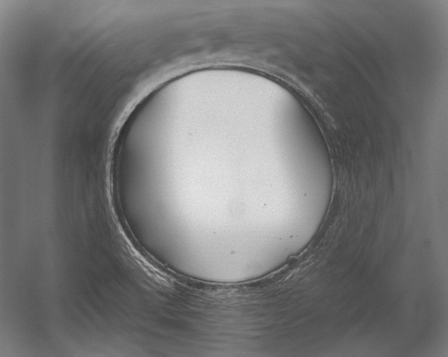X0000052561512200507221422