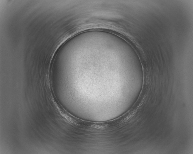 X0000052561513200507221422