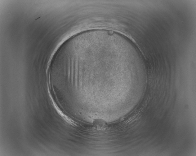 X0000052561515200507221422