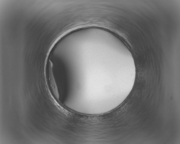 X0000052561516200507221422