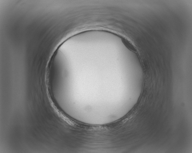 X0000052561526200507221422