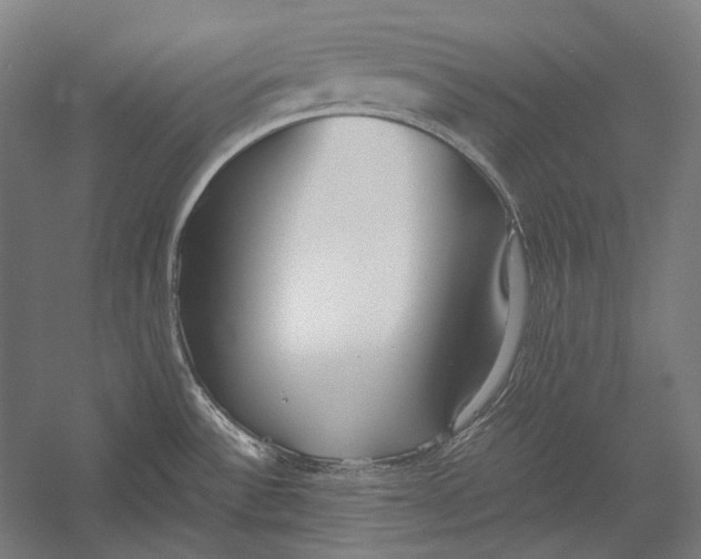 X0000052561532200507221422