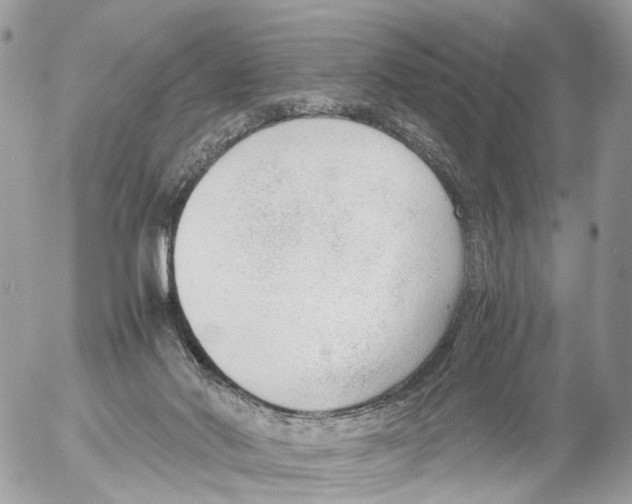 X0000052560022200507291952