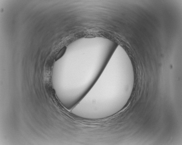 X0000052560033200507291952