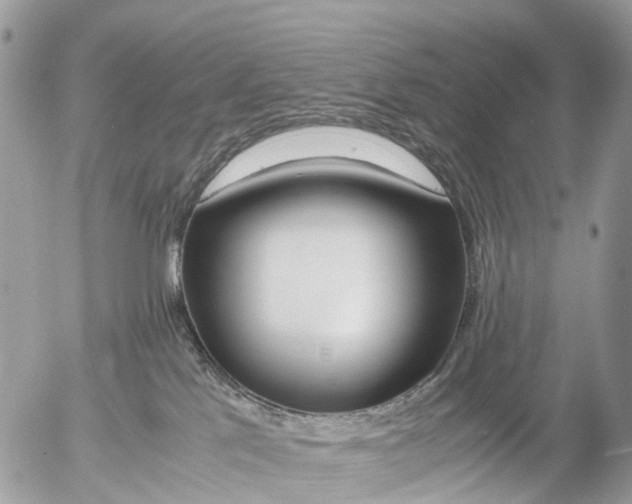 X0000052560041200507291952