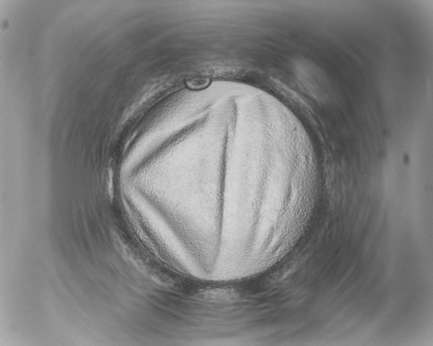 X0000052560067200507291951