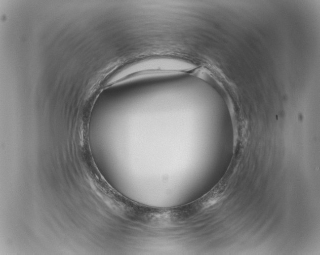 X0000052560068200507291951
