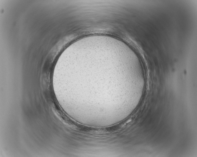 X0000052560107200507291951
