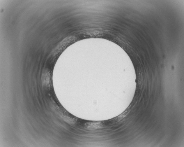 X0000052560132200507291951