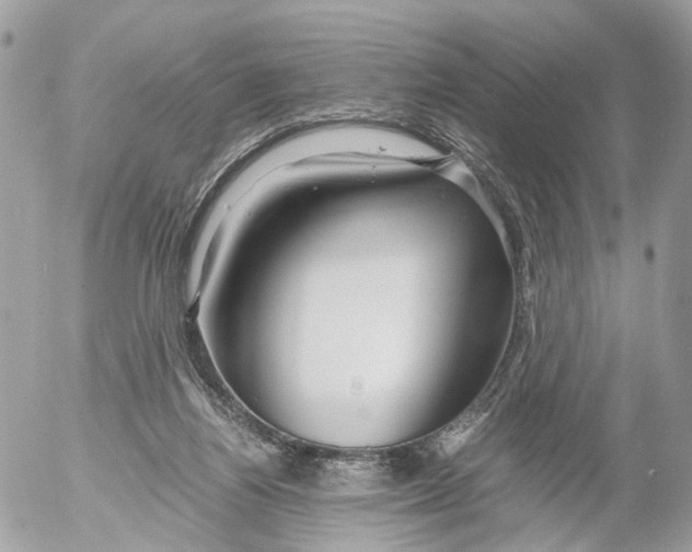 X0000052560164200507291950