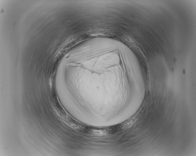 X0000052560167200507291950