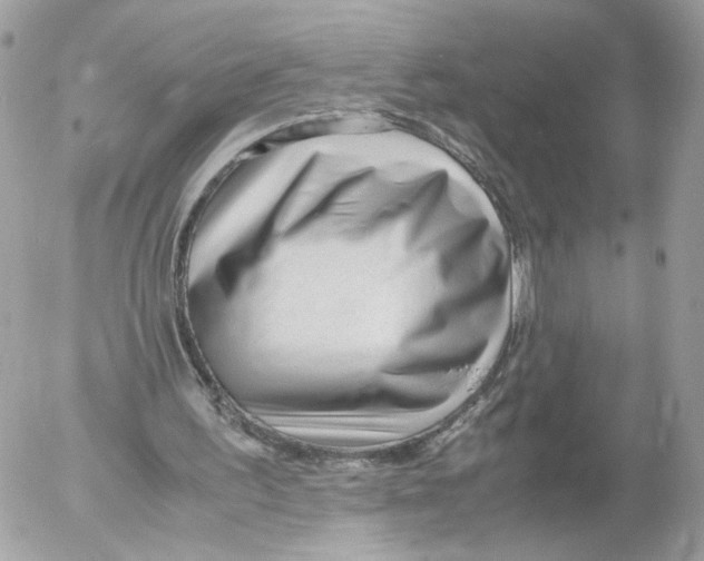 X0000052560195200507291950