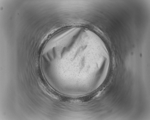 X0000052560203200507291949