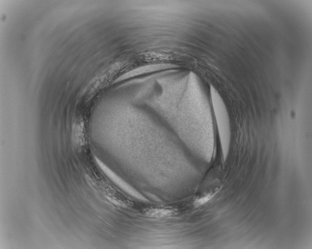 X0000052560224200507291949