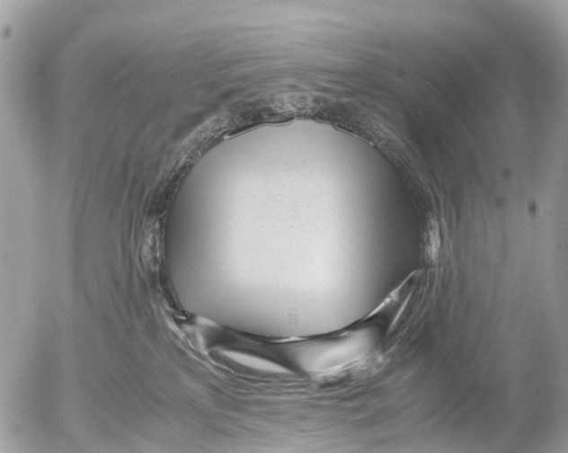 X0000052560233200507291949