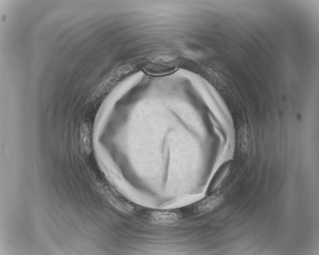 X0000052560234200507291949