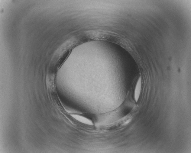 X0000052560239200507291949