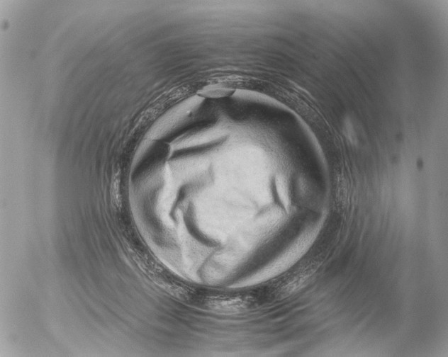 X0000052560267200507291948