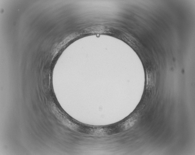 X0000052560301200507291948