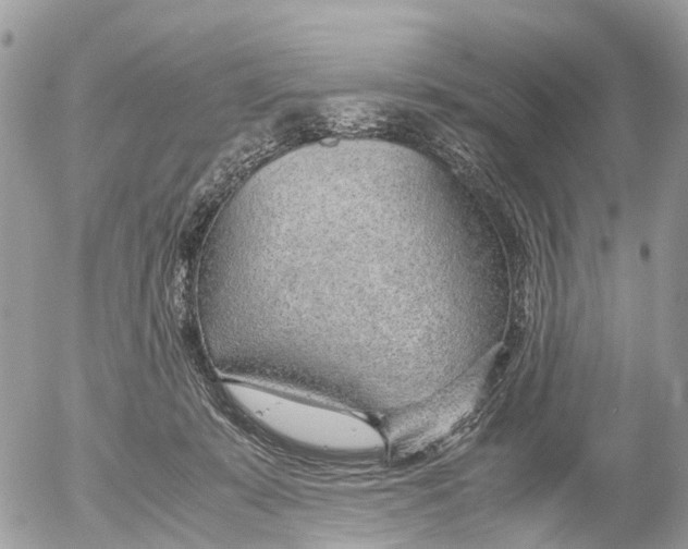 X0000052560319200507291948