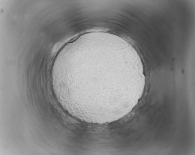X0000052560337200507291946