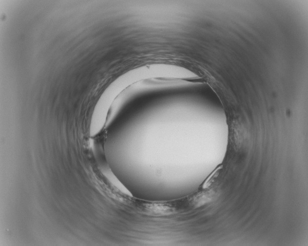 X0000052560380200507291947