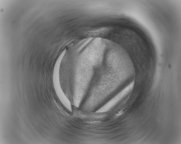 X0000052560383200507291947