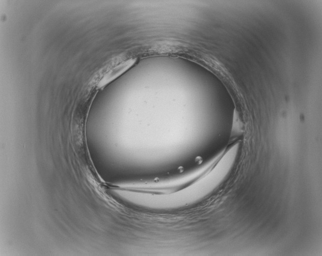 X0000052560393200507291946