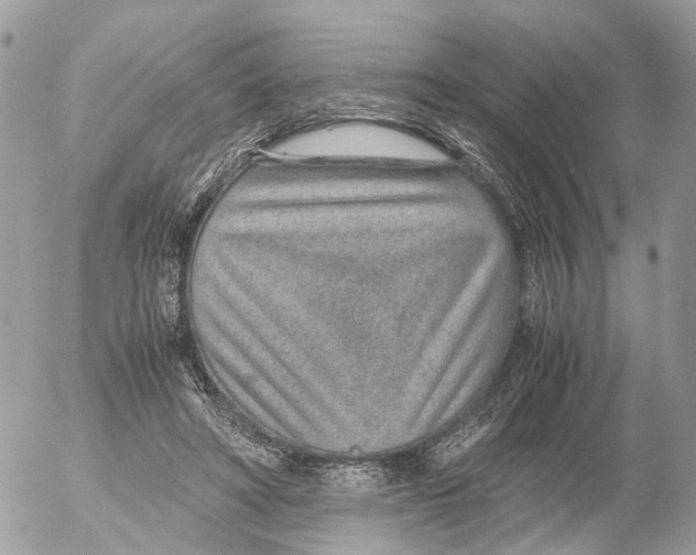 X0000052560402200507291946