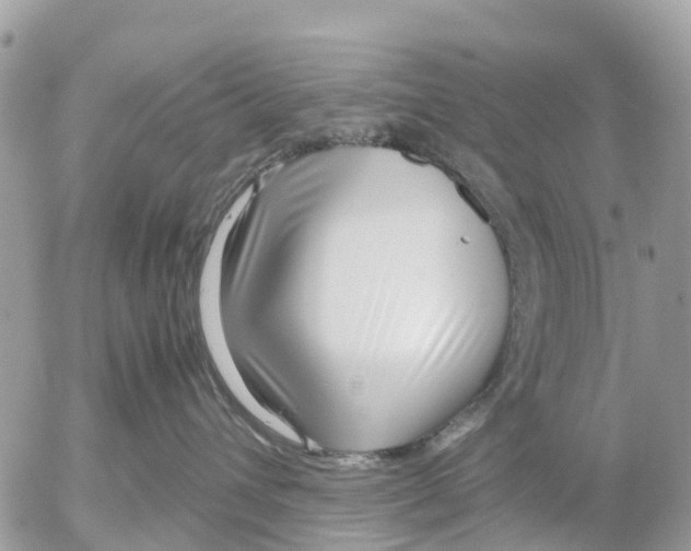 X0000052560432200507291946