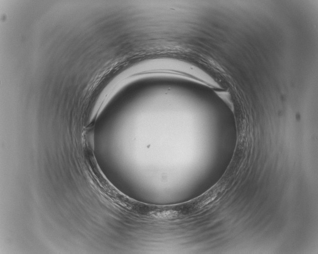 X0000052560452200507291945