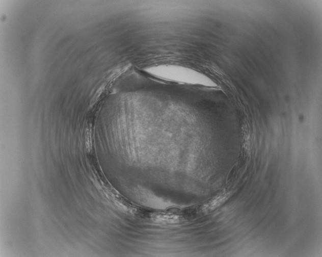 X0000052560471200507291946