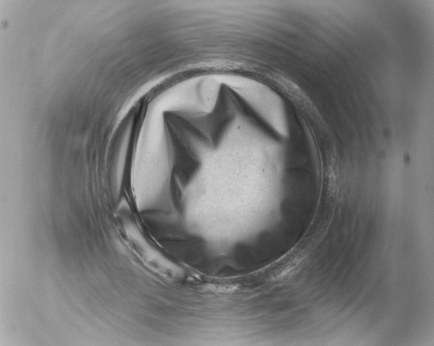X0000052560484200507291945