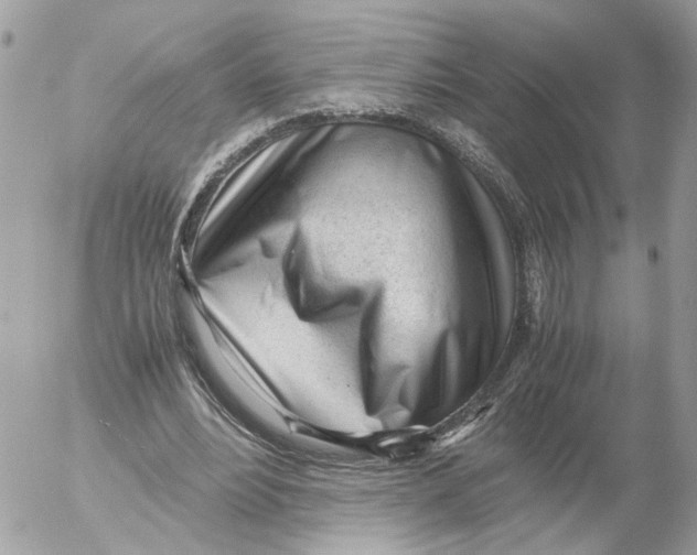 X0000052560488200507291945