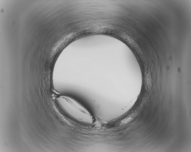 X0000052560493200507291945