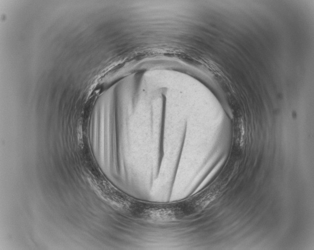 X0000052560500200507291944