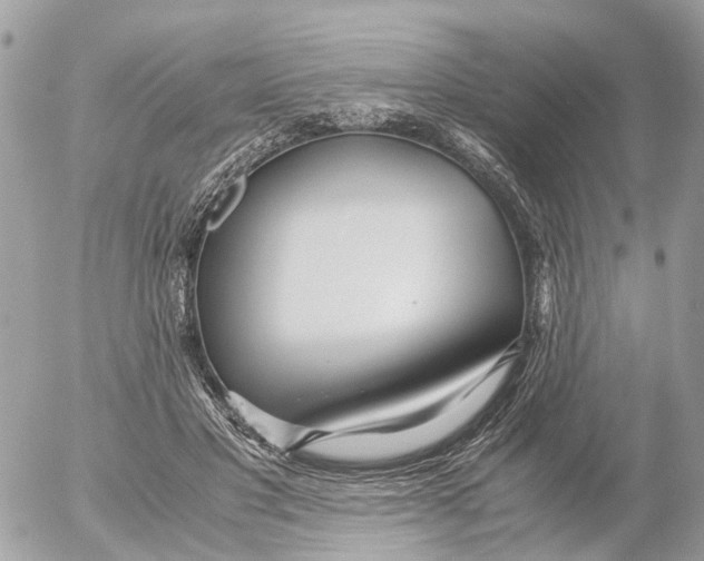 X0000052560501200507291944