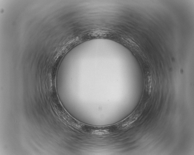X0000052560508200507291944