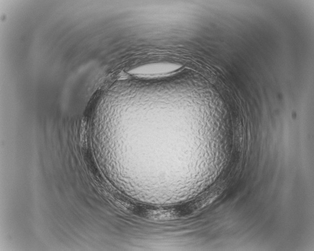 X0000052560511200507291944