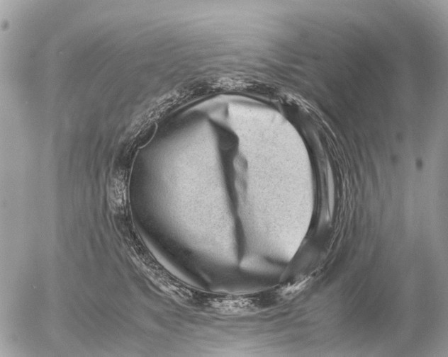 X0000052560517200507291944