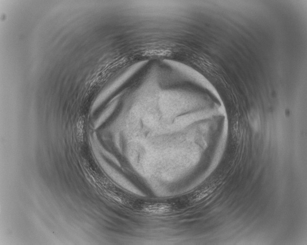 X0000052560551200507291944