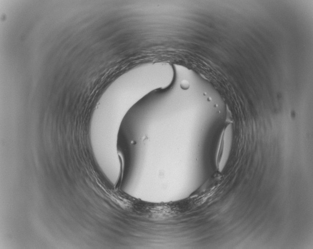 X0000052560562200507291944