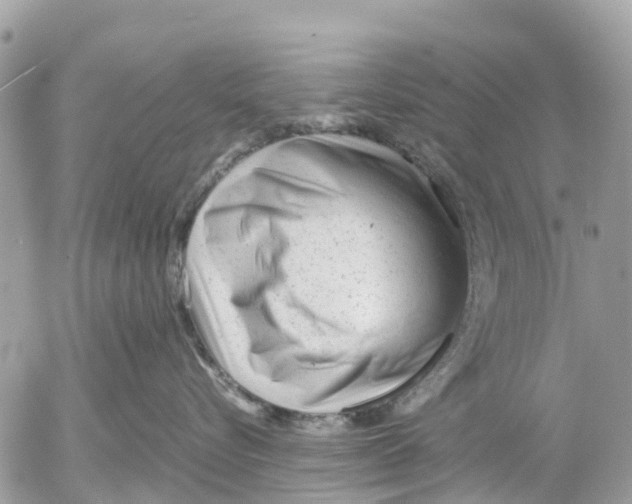 X0000052560576200507291944